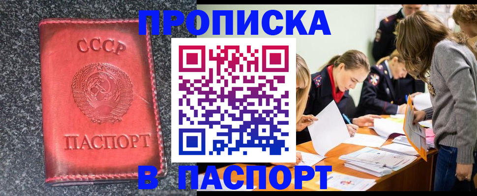 прописка для школы в Эртили